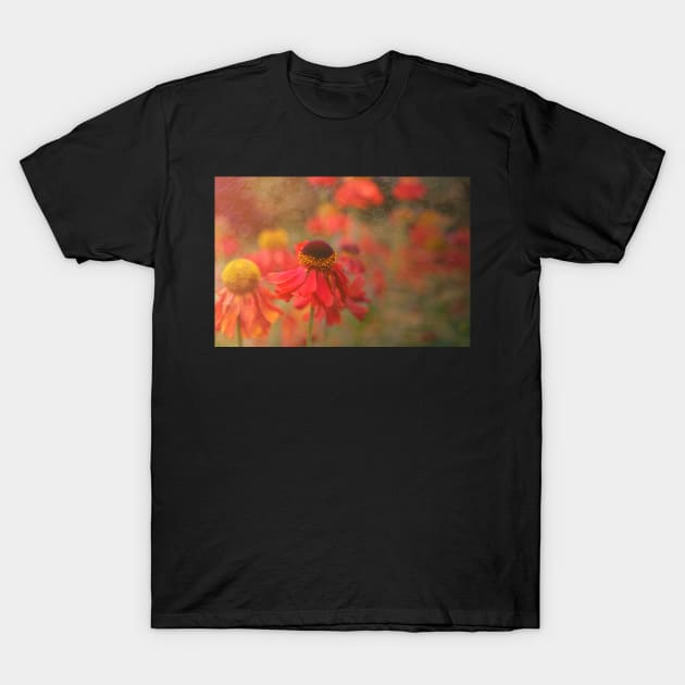 Helenium flower with texture T-Shirt by RosNapier